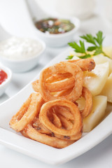 Obraz na płótnie Canvas Squid rings with boiled potato