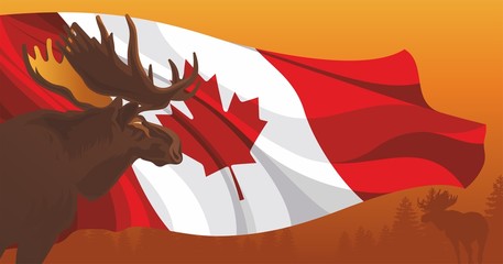 Moose against the flag and nature in Canada - 74799177