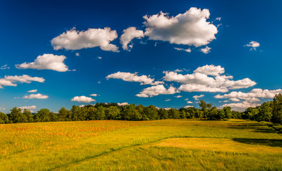Clouds over a meadow in Antietam National Battlefield, Maryland.