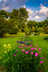 Colorful flowers in a garden at Druid Hill Park, in Baltimore, M