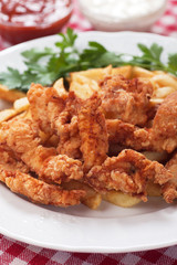 Fried chicken nuggets