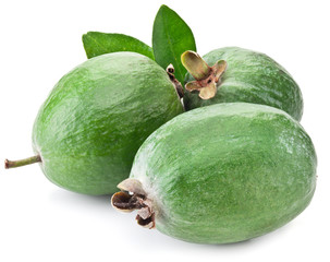 Three feijoa fruits with leaves.