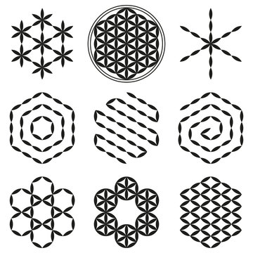 Eight extracted patterns from the Flower of Life