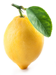 Lemon with leaf.