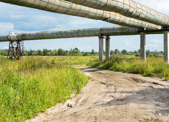 Elevated section of the pipelines above the dirt road