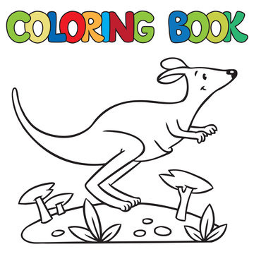 Coloring book of little kangaroo