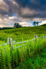 Fence and field along the Blue Ridge Parkway in North Carolina.