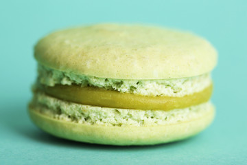 Gentle colorful macaroon on color background