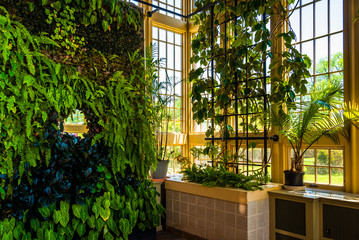 Green wall in the Howard Peters Rawlings Conservatory, in Druid