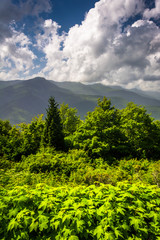 Mid-day view of the Appalachian Mountains from the Blue Ridge Pa