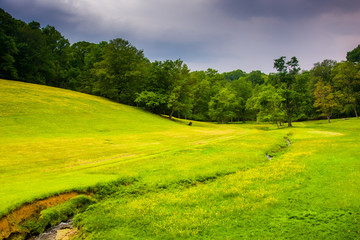 Small stream and farm field in rural Baltimore County, Maryland.