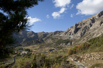 Saison Berger, Alpes de hautes Provence