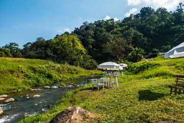 Fototapeta na wymiar Small stream that curves along the forest. A small bamboo bridge