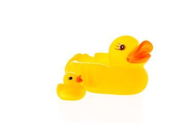 closeup duck toy on white background.