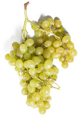 White grapes on white background