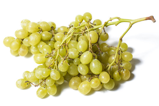 White grapes on white background