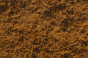 Dry Tree Seed Texture