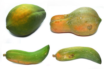 Papaya collection