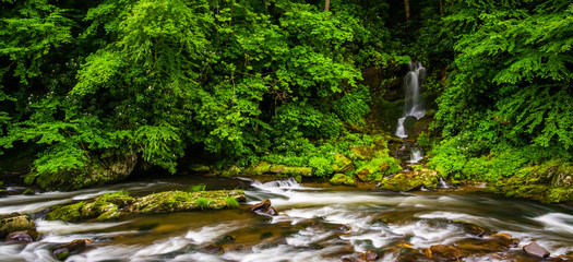 Cascades and waterfall on Raven Fork, near Cherokee, North Carol