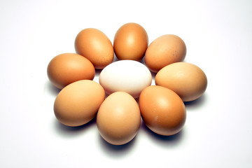 Duck egg laid in the center surrounded by chicken egg