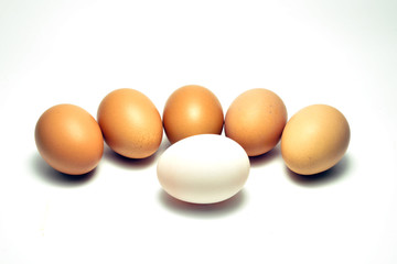 Duck egg laid in the center surrounded by chicken egg