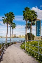 Photo sur Plexiglas Clearwater Beach, Floride Clearwater Beach sign and palm trees along a path in Clearwater