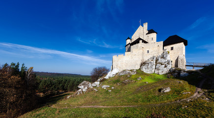 Fototapeta na wymiar Bobolice Castle II