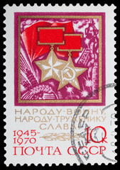 Medal Soviet Soldier