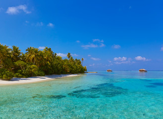 Tropical Maldives island