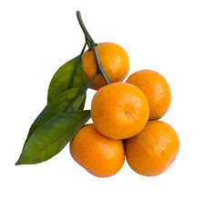 tangerine on white background