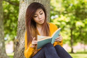 Female student reading book against tree trunk in park