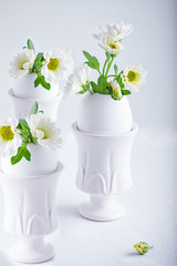 Bunch of white chrysanthemum flowers growing from egg shell