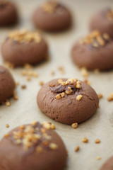 Biscotti