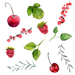 Watercolor berries: cherry, red currant and raspberry