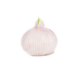 Onion close up.