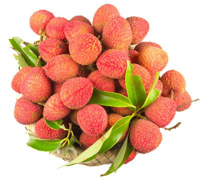 pani&egrave;re de letchis, &icirc;le de la R&eacute;union