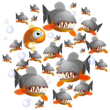 piranha