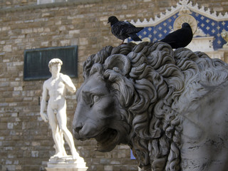 David di Michelangiolo,copia in Piazza della Signoria,Firenze