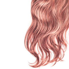 Hair fragment over the white