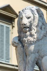 Lion of Dante Statue in Piazza di Santa Croce Square, Florence