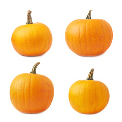 Orange pumpkin isolated