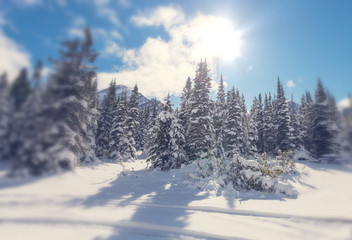 Glacier Park in winter
