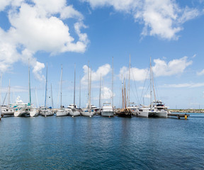 White Tall Masted Sailboats in Blue Harbor