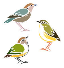 Stylized Birds - Rusty-naped Pitta, Rock Wren, Rifleman