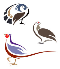 Stylized Birds - Grouse, Pheasant and Partridge - obrazy, fototapety, plakaty