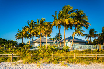 Palm trees and building on the beach in Fort Myers Beach, Florid