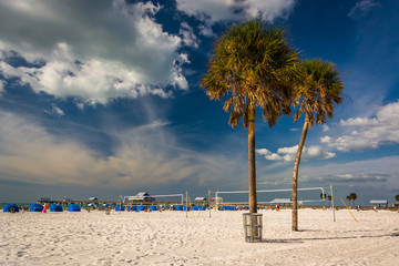 Palmbomen op het strand in Clearwater Beach, Florida.