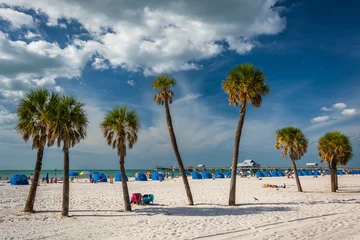 Stickers pour porte Clearwater Beach, Floride Palmiers sur la plage de Clearwater Beach, en Floride.