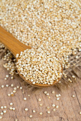 Obraz na płótnie Canvas quinoa in a wooden spoon
