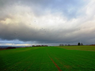 Regenwolken &uuml;ber dem Feld